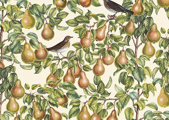Pears, Petal - Roller Blind - Image 6